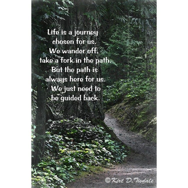 Life's Journey Down A Path Chosen For Us