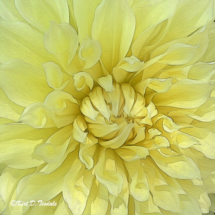 Bright Yellow Abstract Bloom