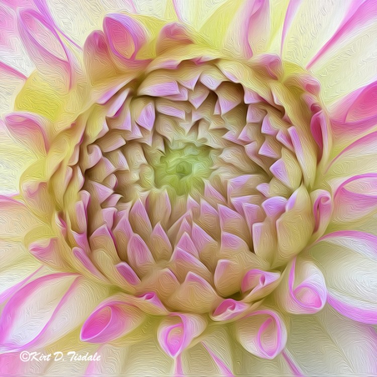 Bright Pink And Yellow Abstract Bloom