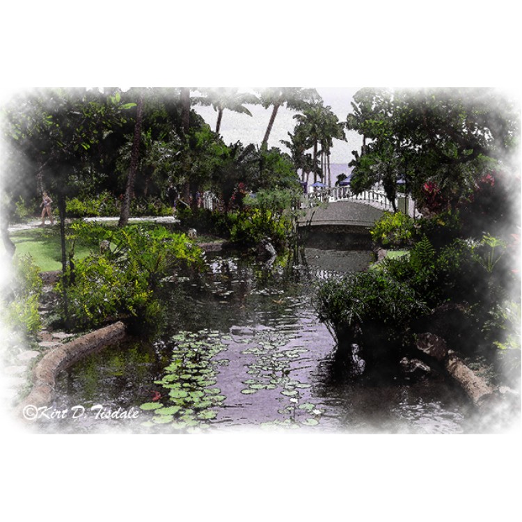 Tropical Resort Pond