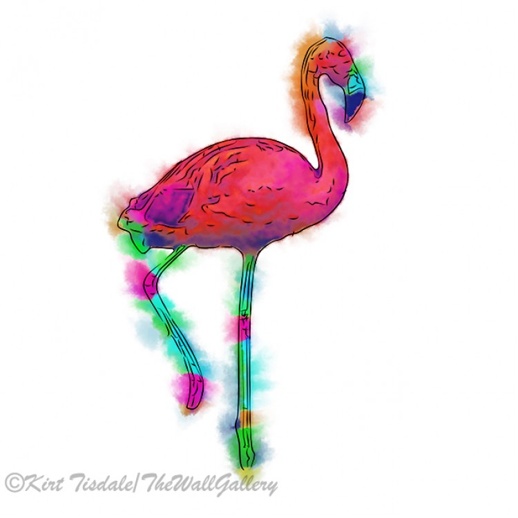 Abstract Flamingo Step