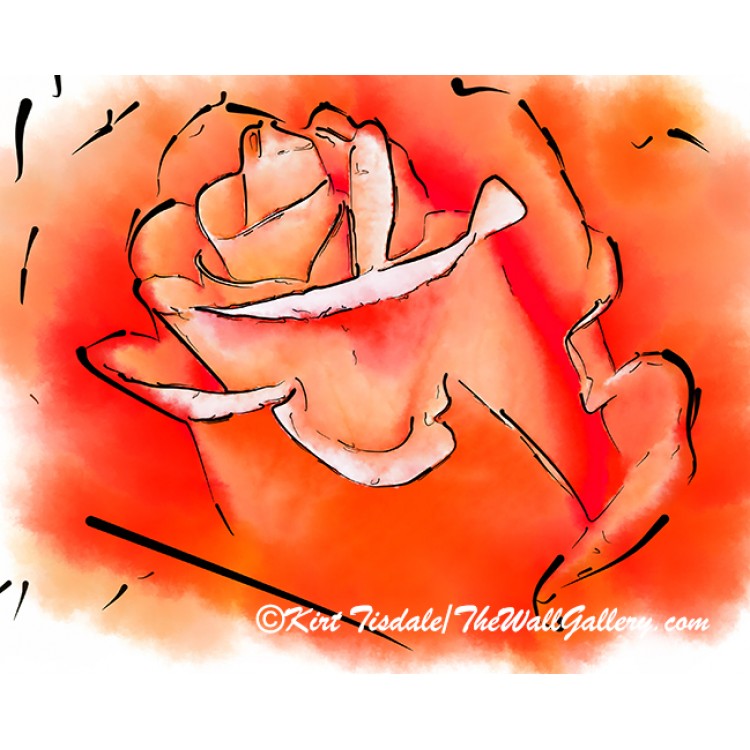 Orange Rose Bud In Abstract Watercolor