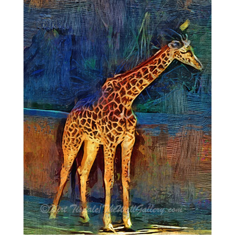 LA Zoo Giraffe