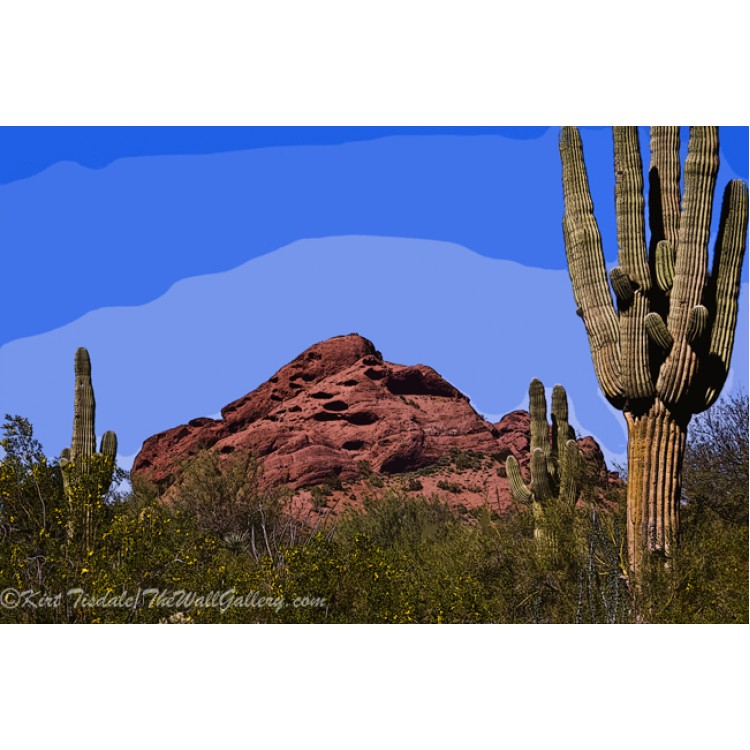 Red Rock Cactus